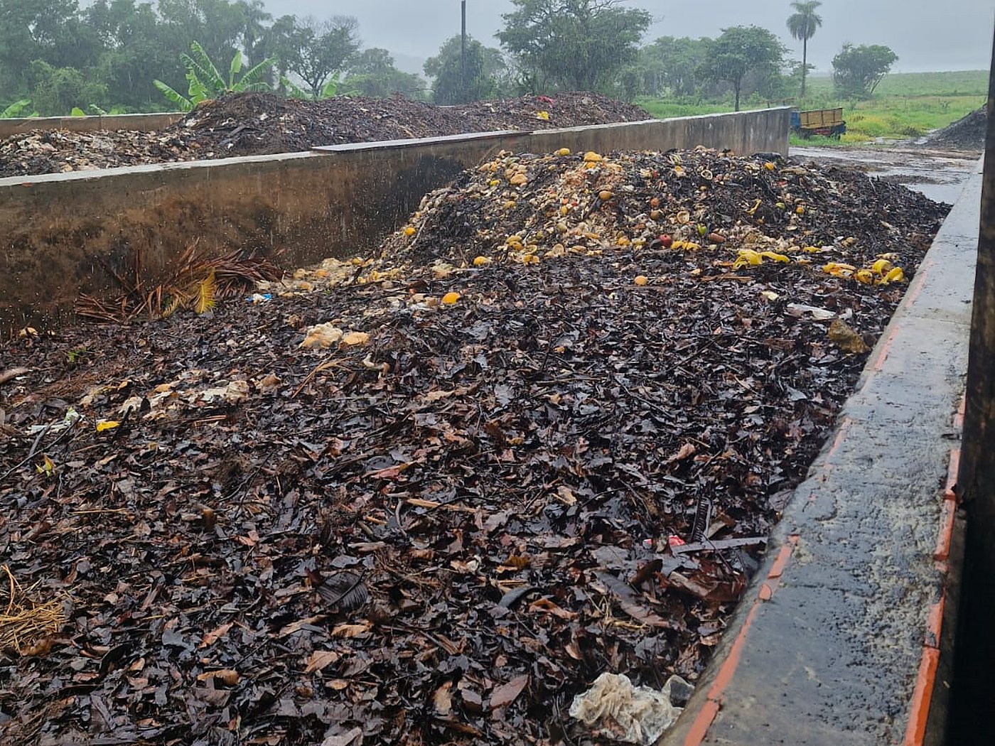 Leira de compostagem na usina